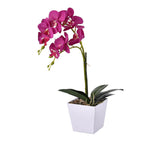 12 Head Butterfly Orchid Flower Foliage (Size 50x12x12 cm) - Purple