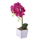 12 Head Butterfly Orchid Flower Foliage (Size 50x12x12 cm) - Purple