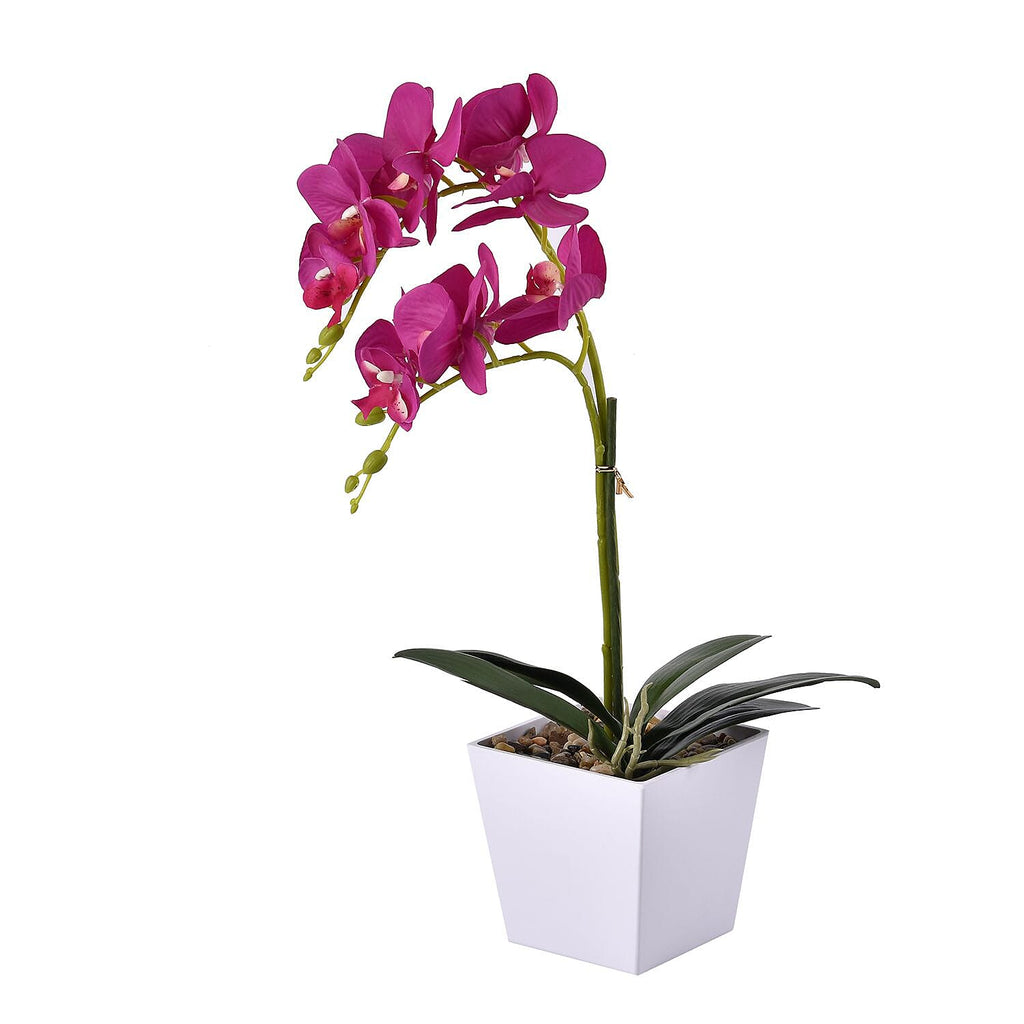 12 Head Butterfly Orchid Flower Foliage (Size 50x12x12 cm) - Purple
