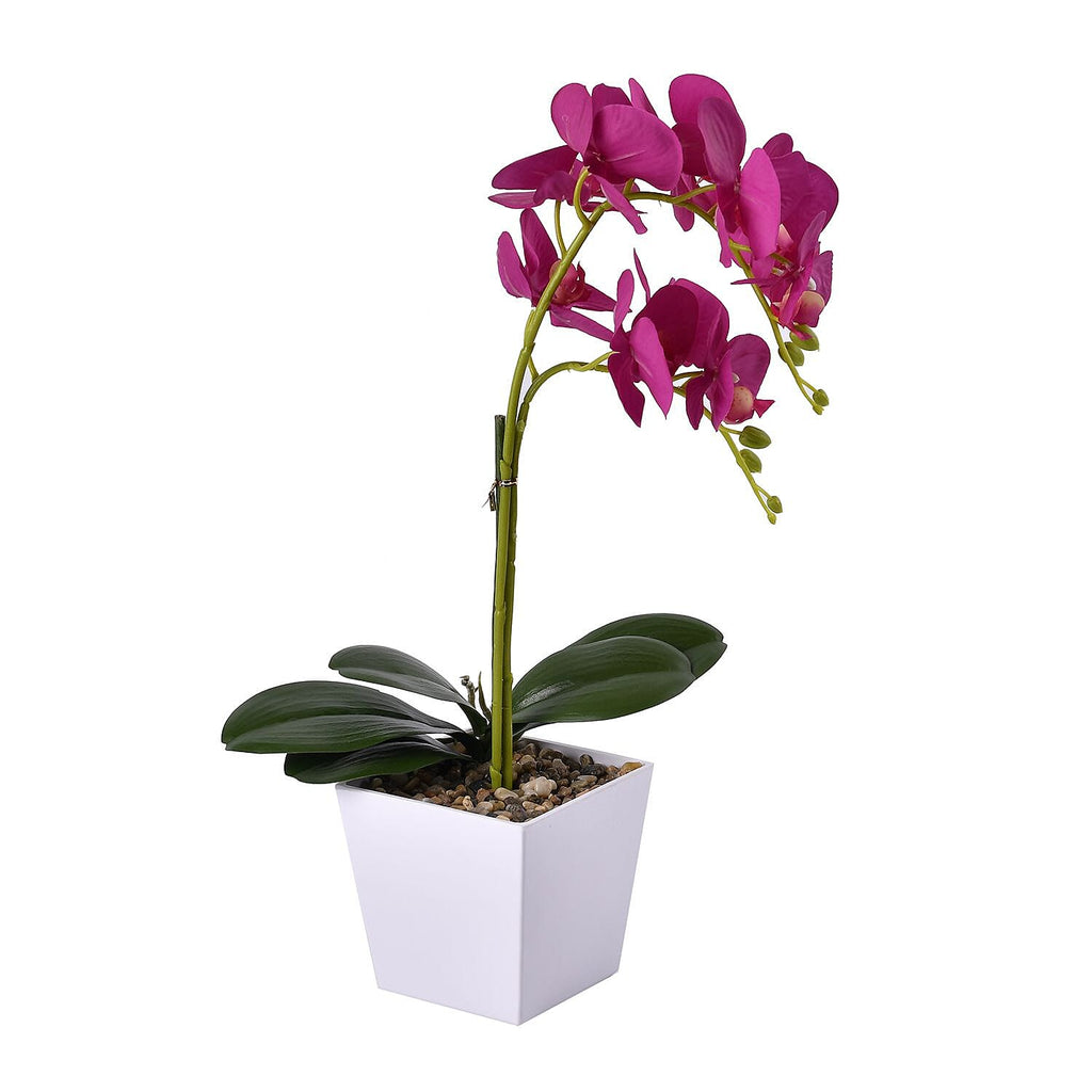 12 Head Butterfly Orchid Flower Foliage (Size 50x12x12 cm) - Purple