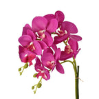 12 Head Butterfly Orchid Flower Foliage (Size 50x12x12 cm) - Purple