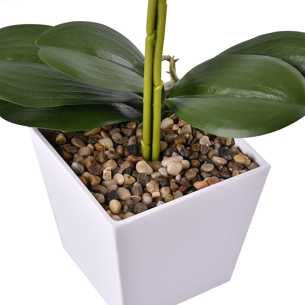 12 Head Butterfly Orchid Flower Foliage (Size 50x12x12 cm) - Purple