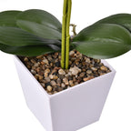 12 Head Butterfly Orchid Flower Foliage (Size 50x12x12 cm) - Purple