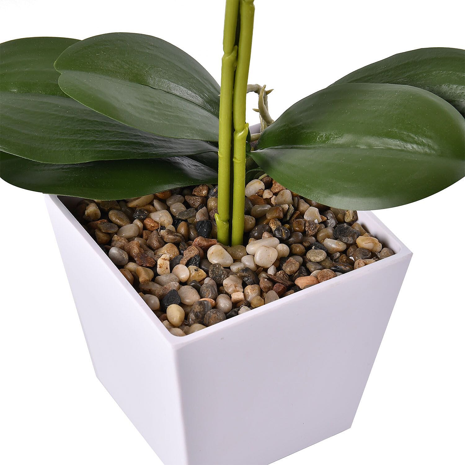 12 Head Butterfly Orchid Flower Foliage (Size 50x12x12 cm) - Purple