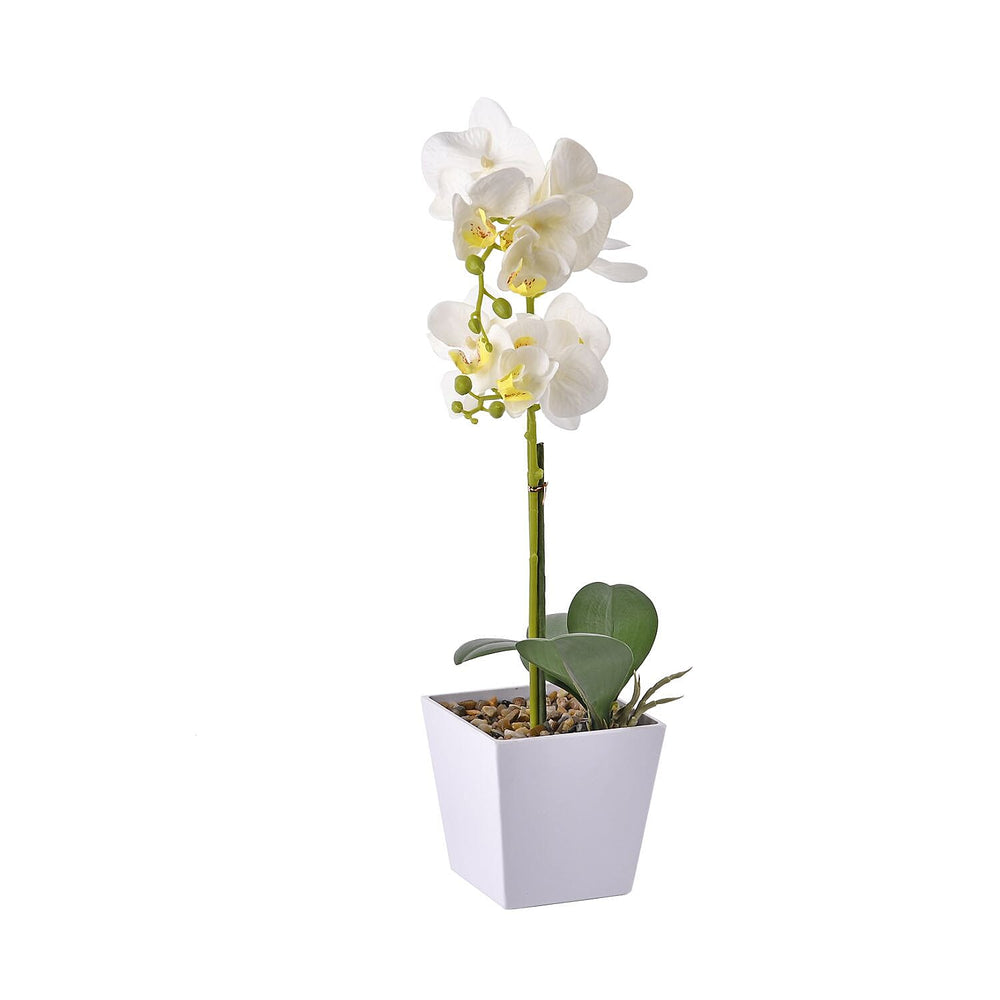12 Head Butterfly Orchid Flower Foliage (Size 50x12x12 cm) - White