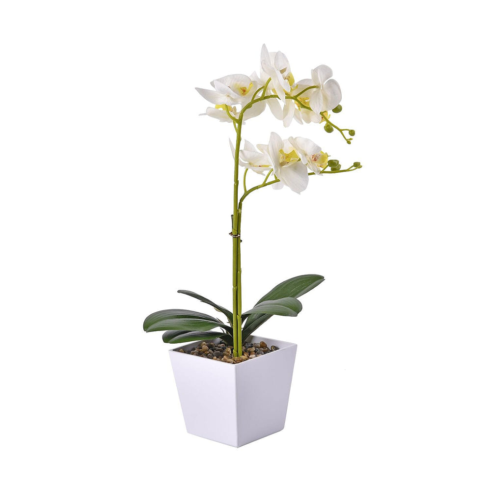 12 Head Butterfly Orchid Flower Foliage (Size 50x12x12 cm) - White