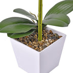 12 Head Butterfly Orchid Flower Foliage (Size 50x12x12 cm) - White