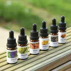 12 Piece Set - The 5th Season Fragrance Oils (Vanilla, Ocean, Rose, Lavender, Jasmine, Cinnamon, Lemon Grass, Violet, Freesia, Lily, Lemon, Cherry Blossom) - 10 ml each