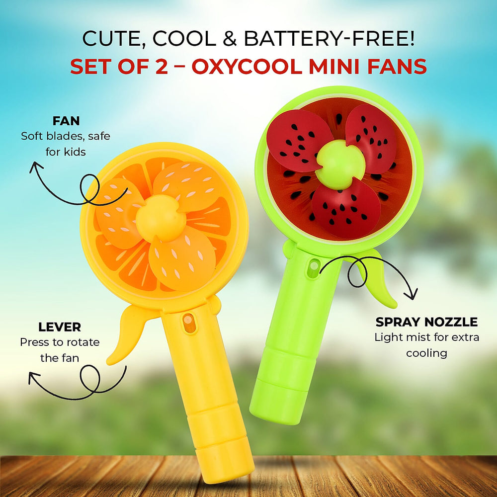 SET OF 2 - OXYCool Mini Fruit Fan PDQ