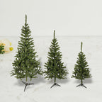 4Ft Canadian Pine Green 200 Tips