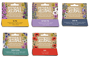 5 Seedball Bee Mix 12-Ball Wildflower Hanging Pack-Yellow, Purple,Green,Red and Violet