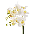 6 Head Butterfly Orchid Flower Foliage with Cobblestone (Size 50x10x10 cm) - White