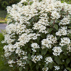 7022156_5.jpg