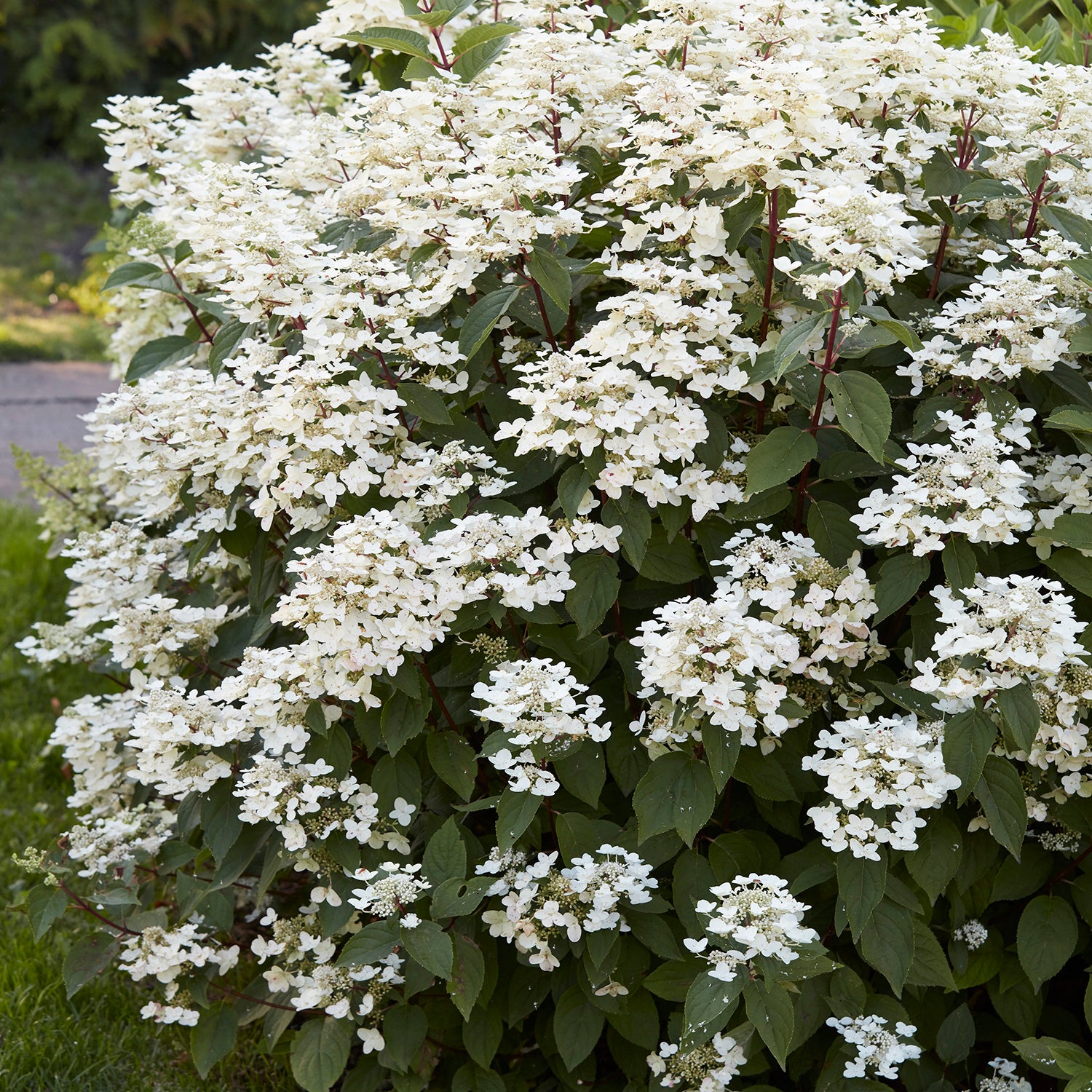 7022156_5.jpg