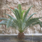 7658208_1.jpg