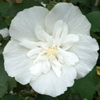 7658535_5.jpg