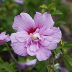 7658547_1.jpg