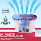 THE SEASONS ESSENTIALS - BIG SET OF 24 - Scented Interior Dehumidifiers (500 ml each)