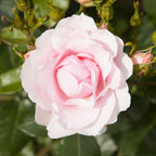 7708772_3.jpg