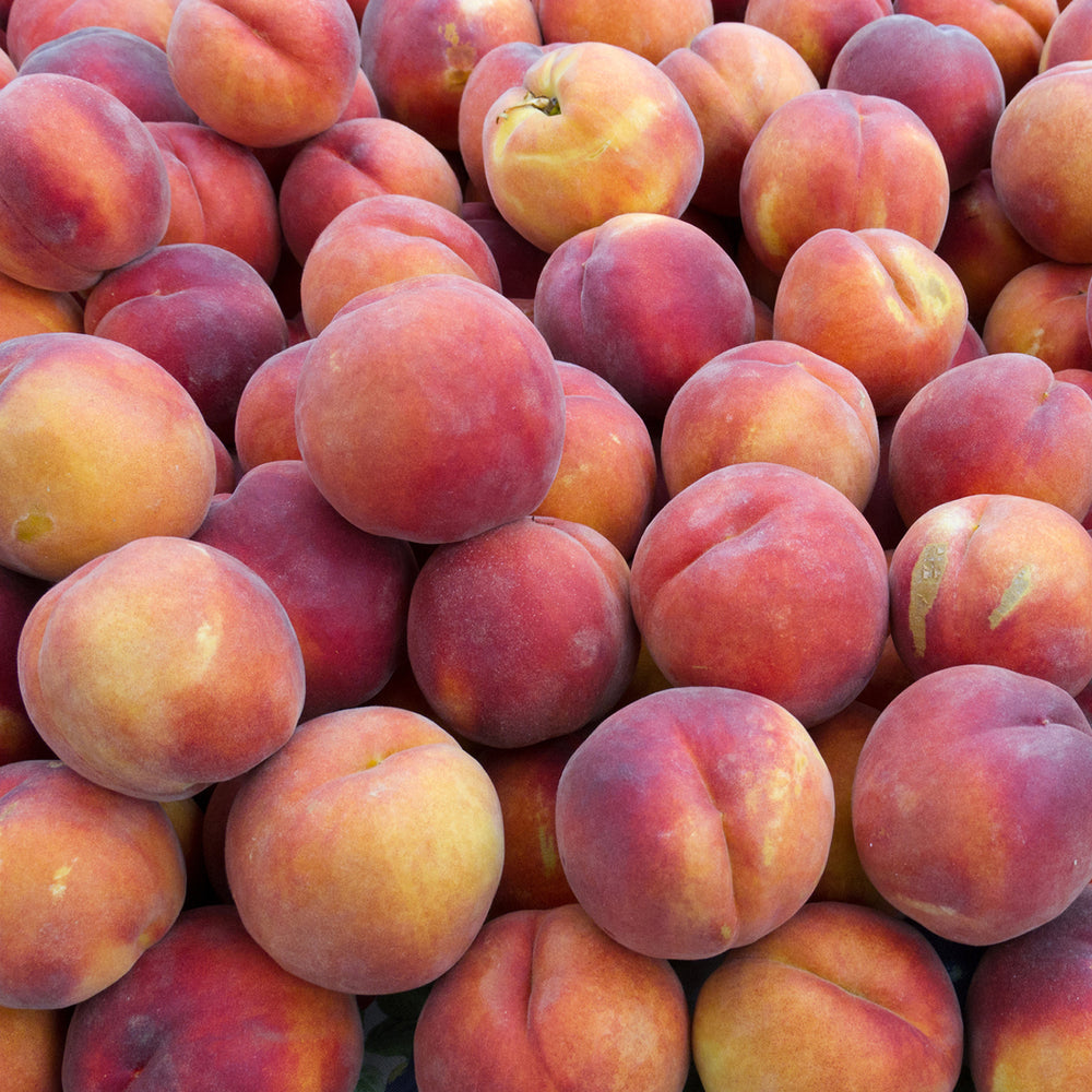 7733306_3.jpg