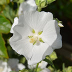 7759200_1.jpg