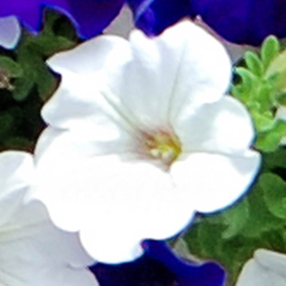7759247_3.jpg