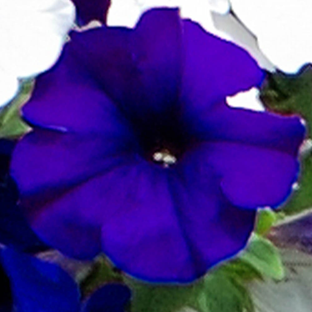 7759247_4.jpg