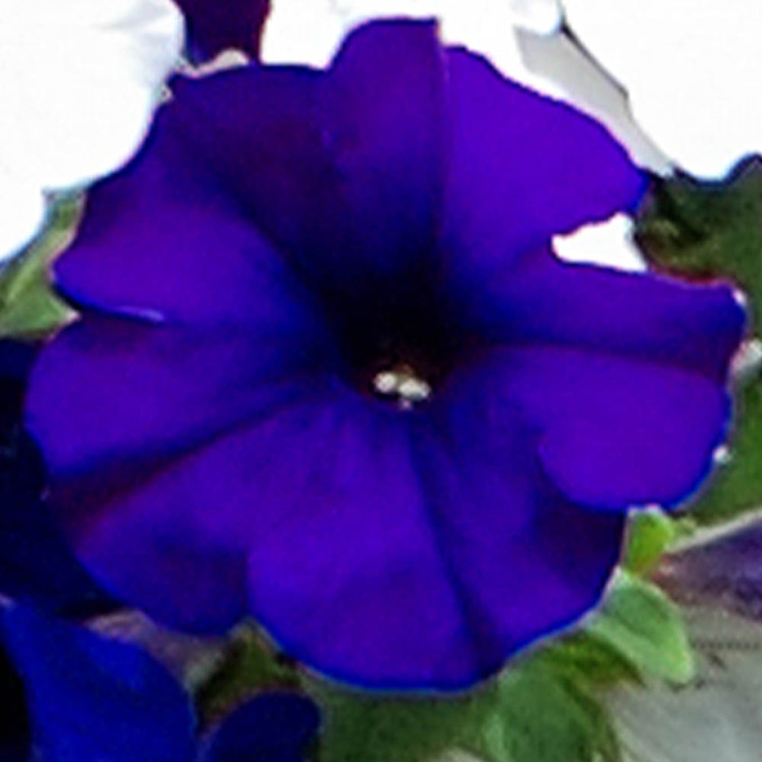 7759247_4.jpg