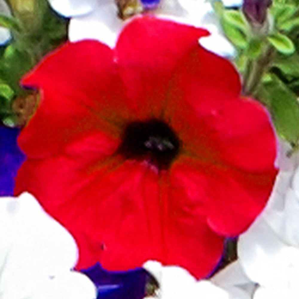 7759247_5.jpg
