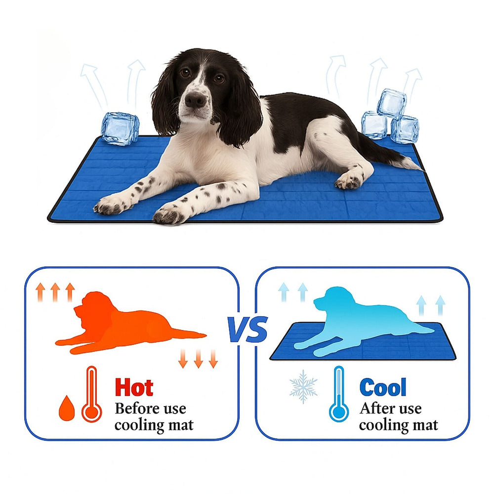 Aqua Coolkeeper Cooling Mat (Size M) - Blue
