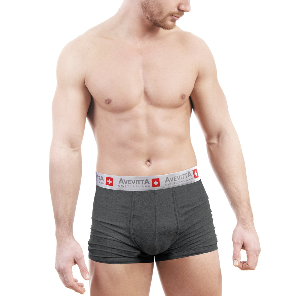Sankom Avevitta 95% Cotton Antibacterial, Anti-Moisture Zinc Oxide Technology Underwear for Men (Size L)_7815645