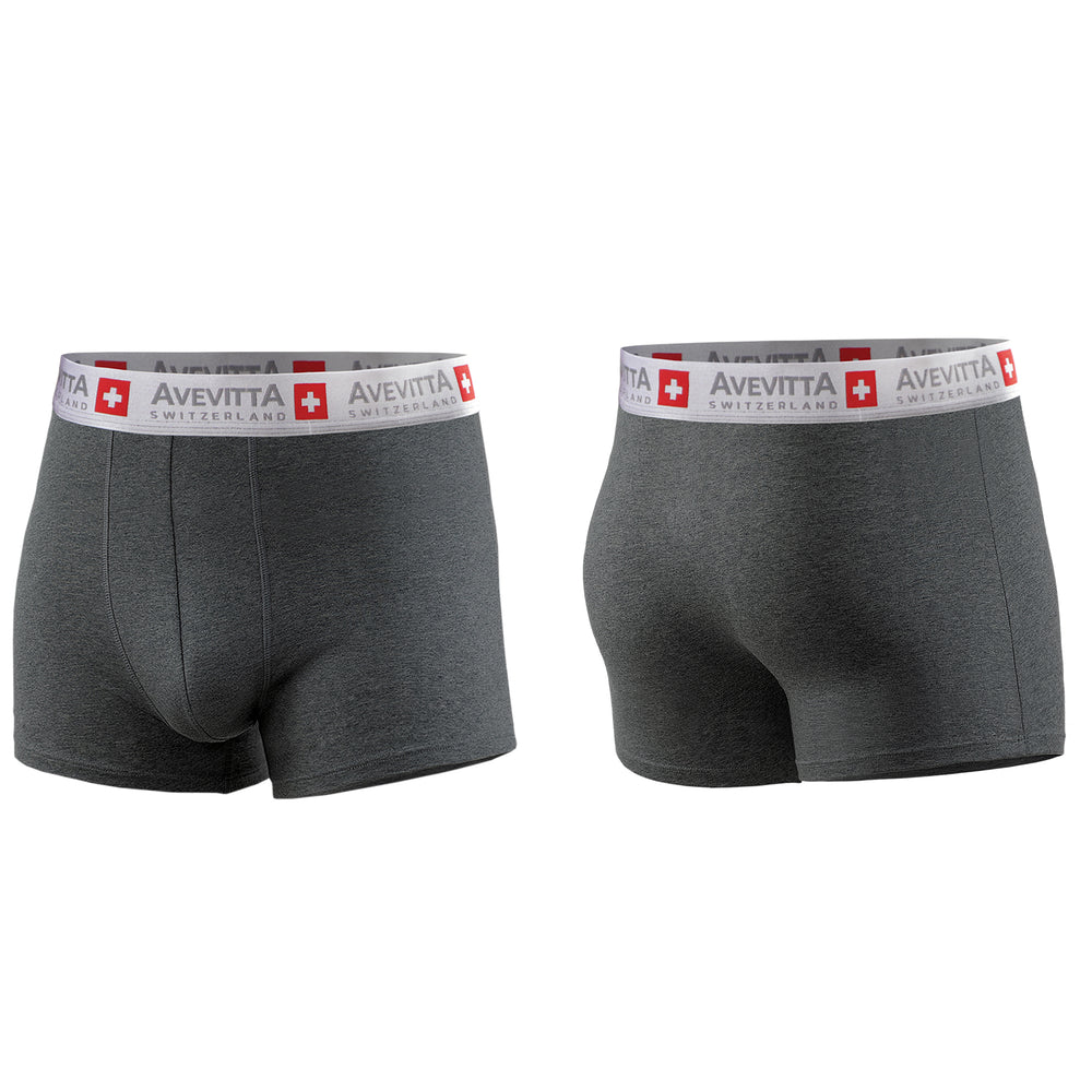 Sankom Avevitta 95% Cotton Antibacterial, Anti-Moisture Zinc Oxide Technology Underwear for Men (Size L)_7815645_1