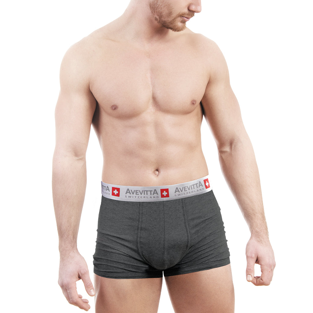Sankom Avevitta 95% Cotton Antibacterial, Anti-Moisture Zinc Oxide Technology Underwear for Men (Size S)_7815647