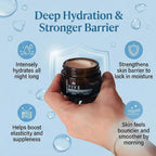 VIVE Night Recovery Cream - 50ml