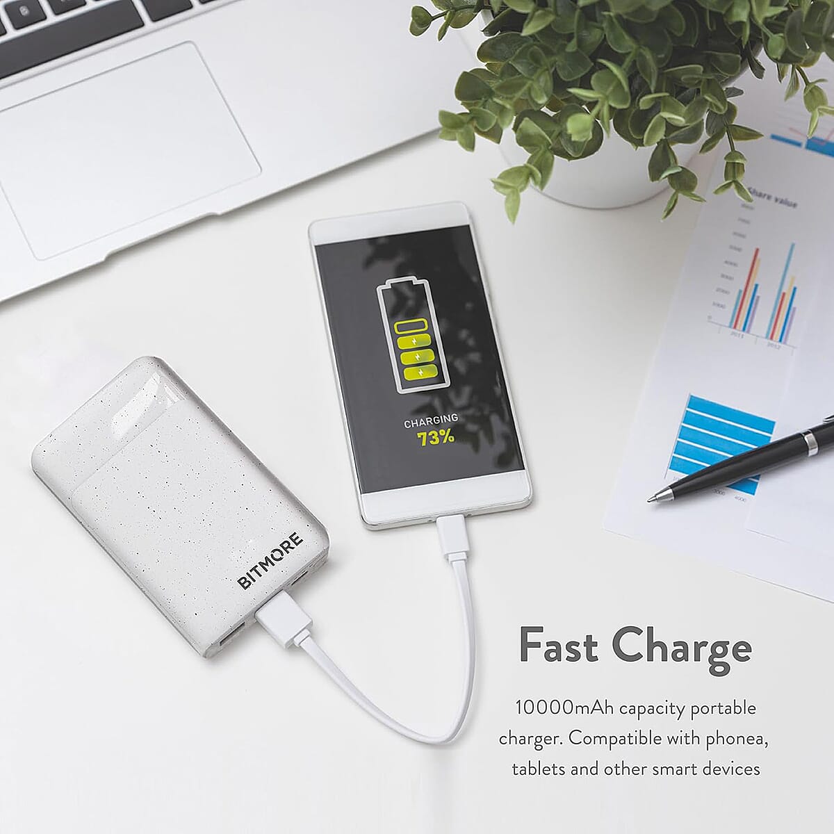 Bitmore 10,000 Mah Powerbank