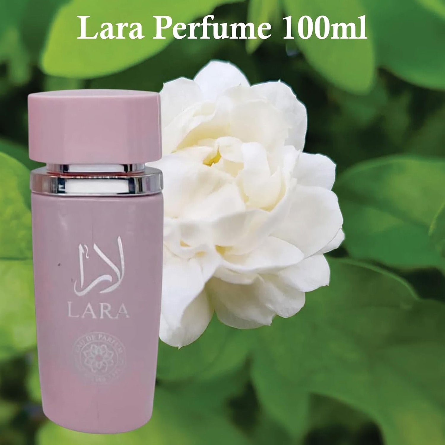 Lara Eau de Parfum for Women - 100ml_8062643_1