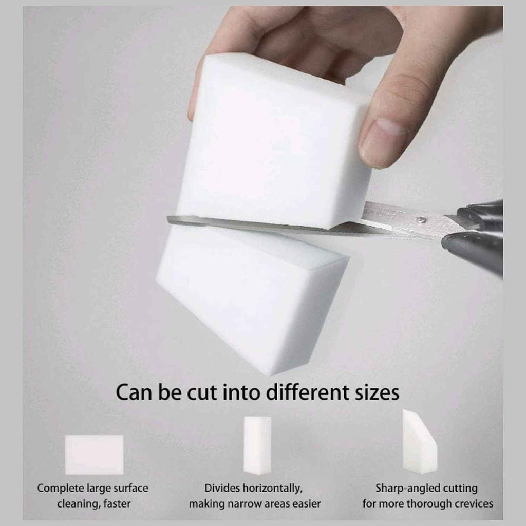 Sponge (Size - One Size) - White & White