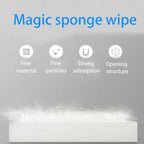 Sponge (Size - One Size) - White & White