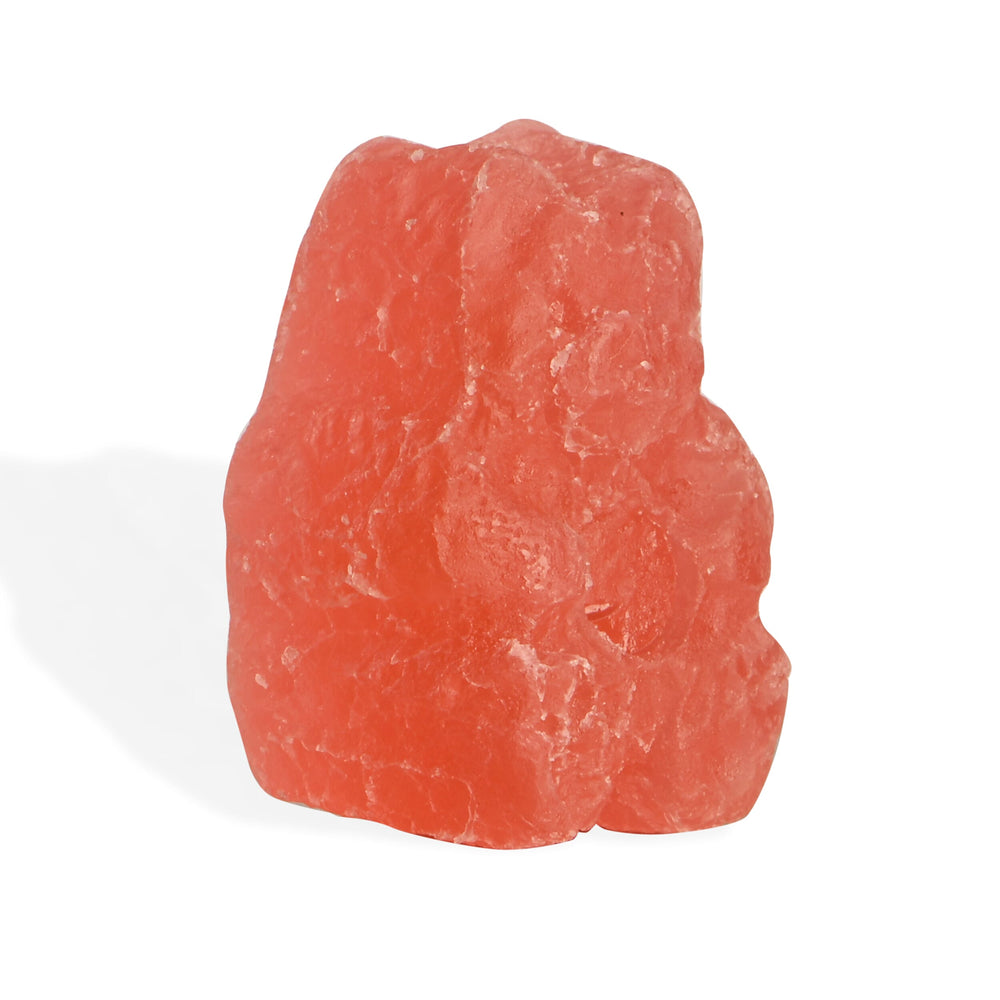 NECTOR Multivitamin SUGAR FREE Strawberry Gummies - 120 Days Supply (4 Months)