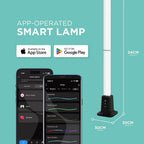IW Special Floor Lamp (Size - One Size) - Black