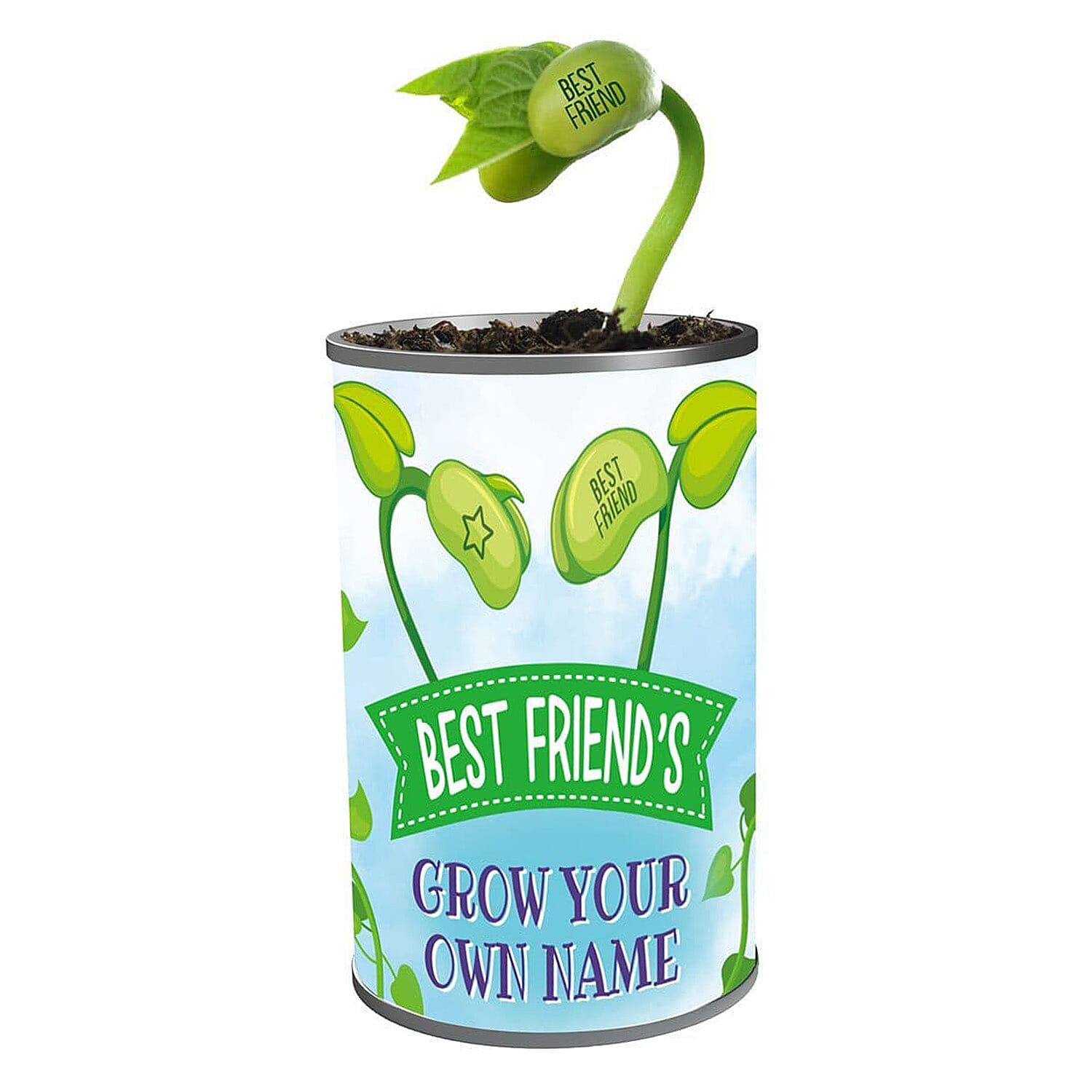 Grow Your Own Plant- Bee Happy - Green