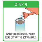 Grow Your Own Plant- Bee Happy - Green