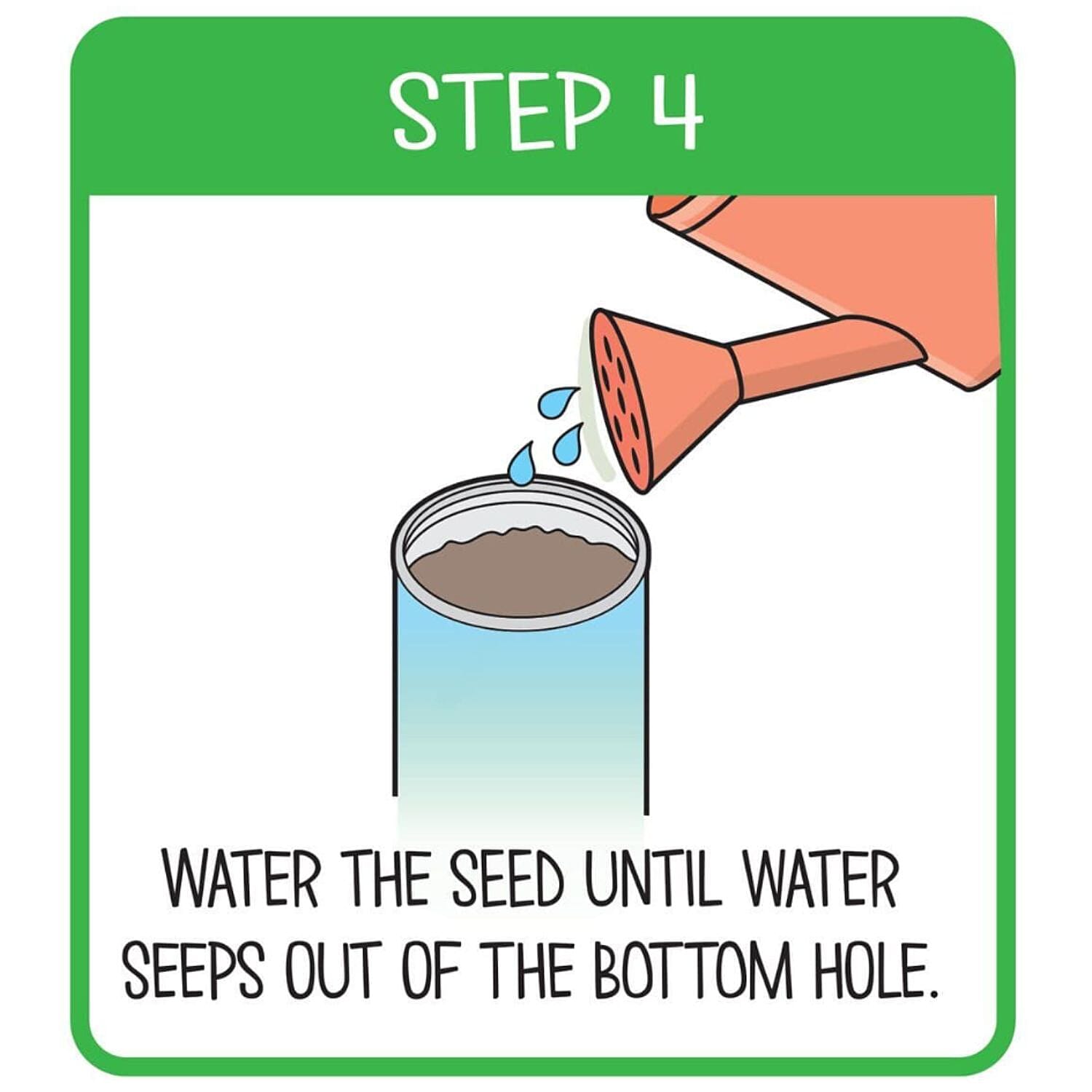 Grow Your Own Plant- Bee Happy - Green