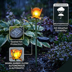 8412817_4.jpg