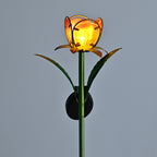 8412817_6.jpg
