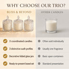 Bliss & Beyond Set of 3 Glass Jar Scented Candles (120g, 7 x 7cm) - Black Oudh, Oudh Royal & Amber Oudh_8415687_4
