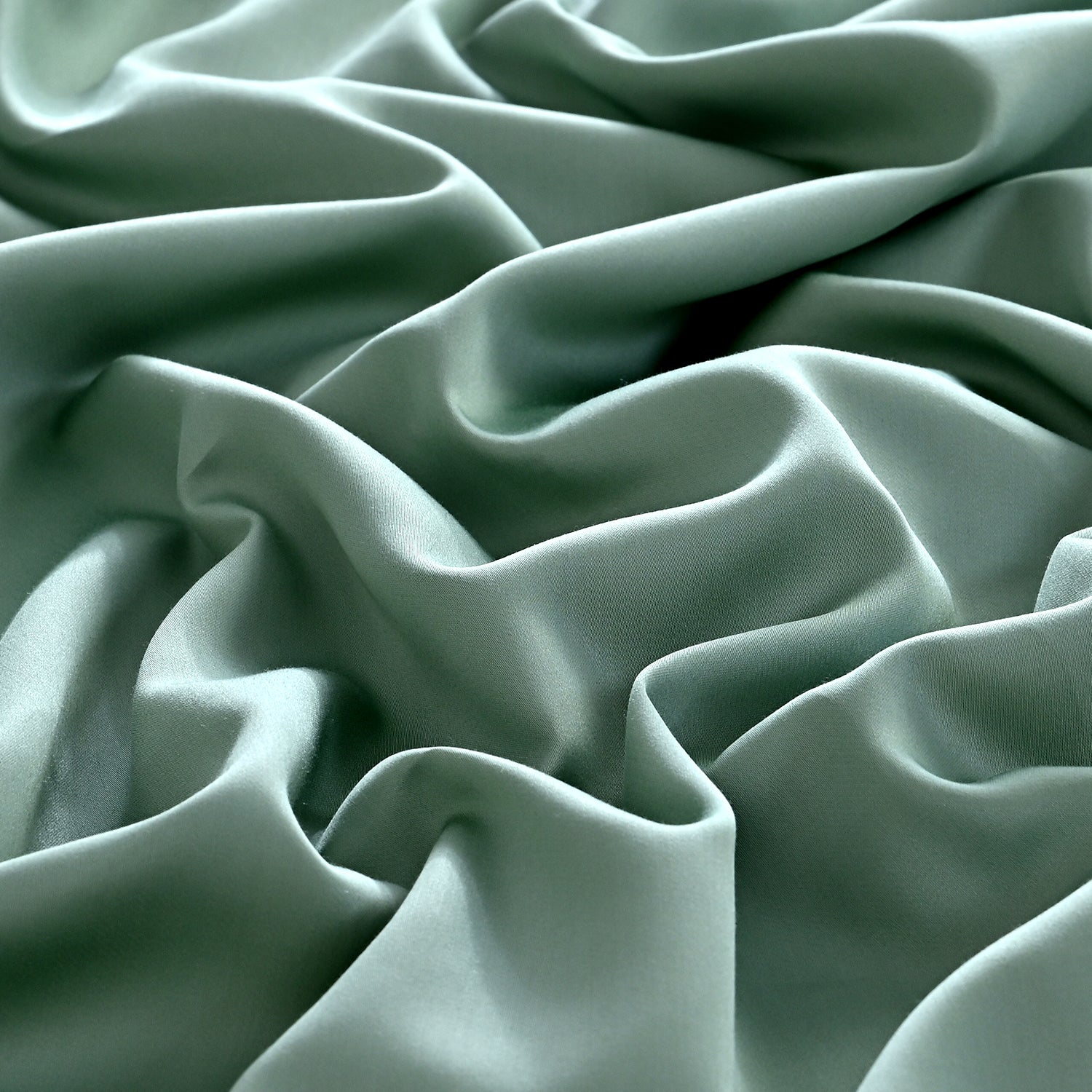 8429080_5.jpg