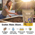 Seedball Bee Mix 100-Ball Wildflower Grab Bag - Yellow