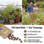 Seedball Bee Mix 100-Ball Wildflower Grab Bag - Yellow