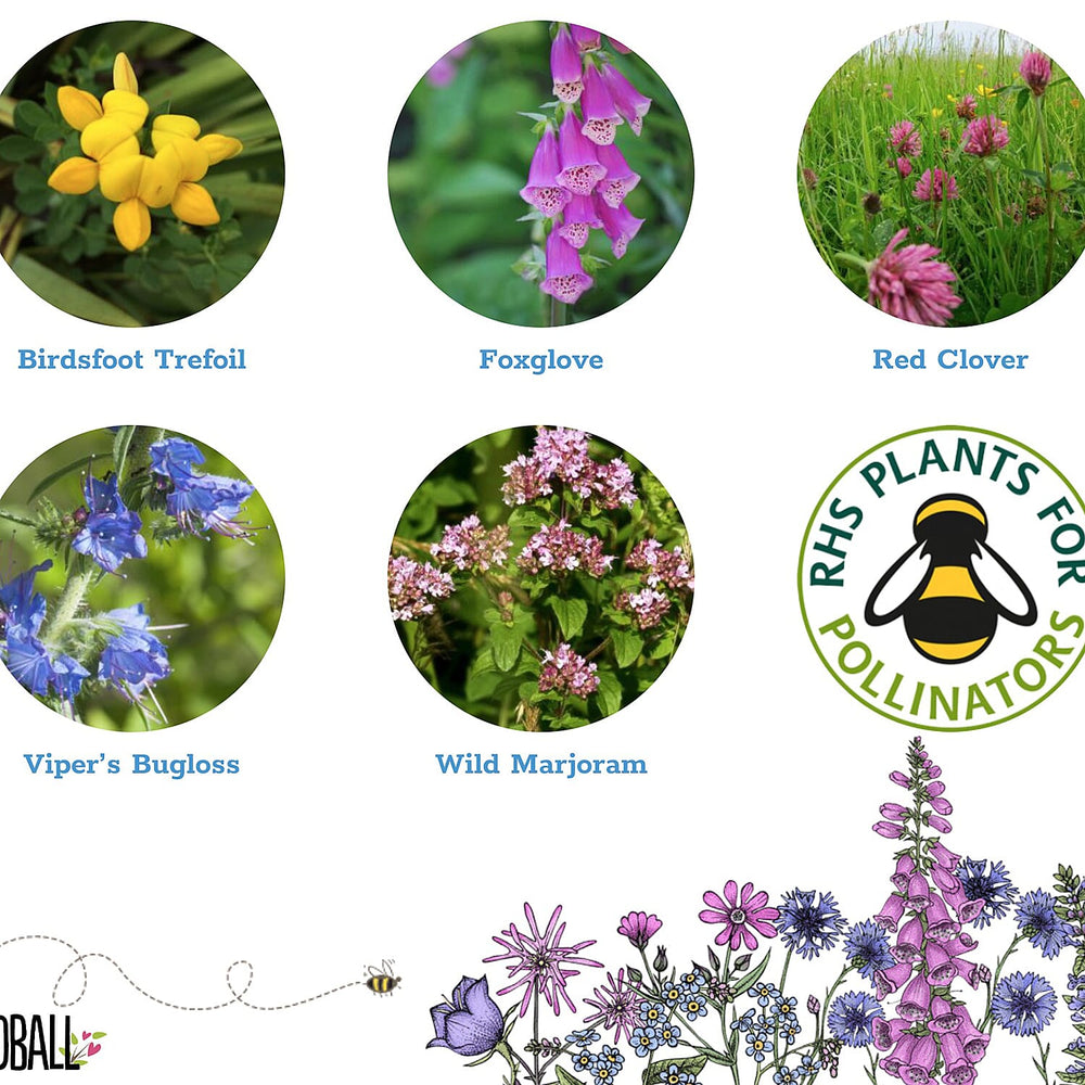 Seedball Bee Mix 100-Ball Wildflower Grab Bag - Yellow